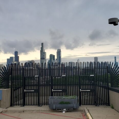 palisade fence palisade fence